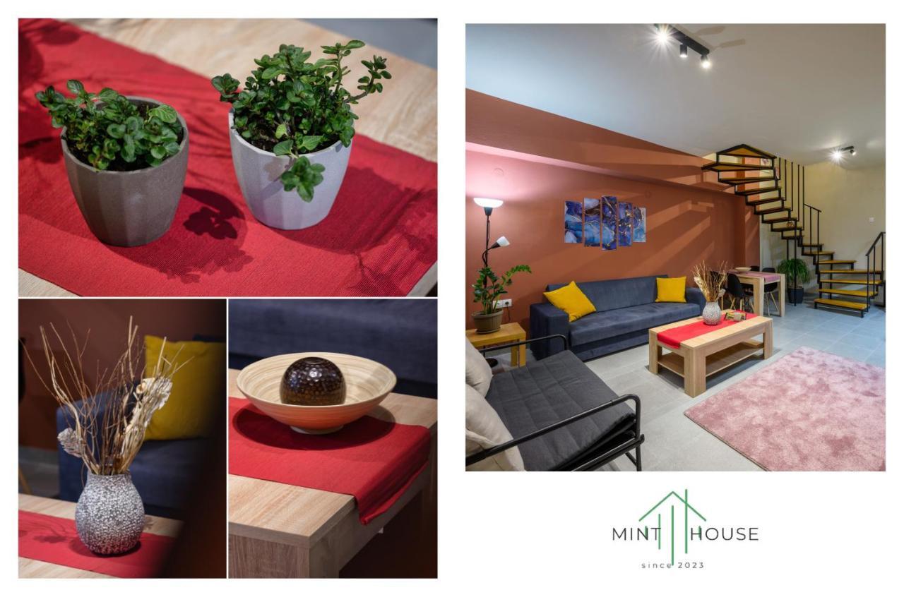 Mint House Διαμέρισμα Ιωάννινα Εξωτερικό φωτογραφία